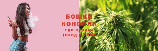 прущие грибы Нея