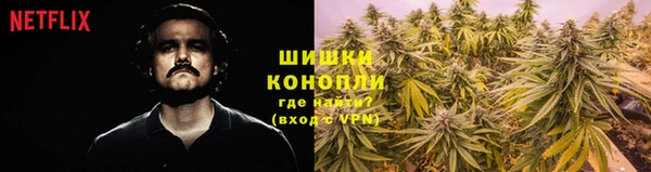 шишки Новодвинск