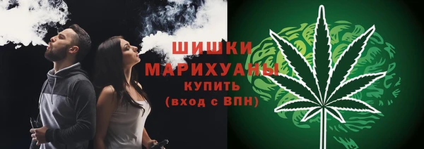 прущие грибы Нея