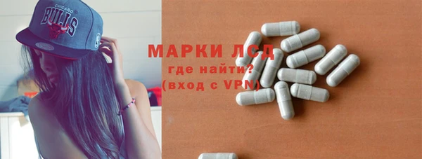 прущие грибы Нея