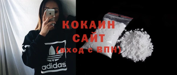 прущие грибы Нея