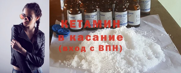 шишки Новодвинск