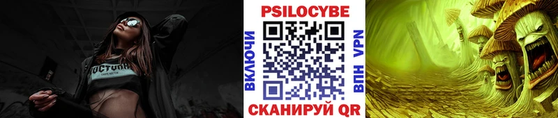 закладка  Колпашево  Псилоцибиновые грибы MAGIC MUSHROOMS 